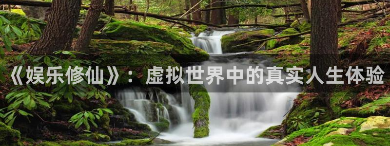三牛娱乐