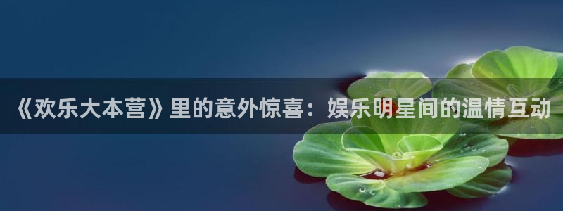 三牛娱乐