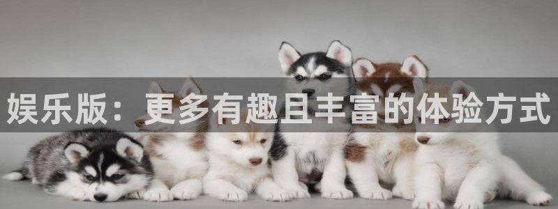 三牛娱乐