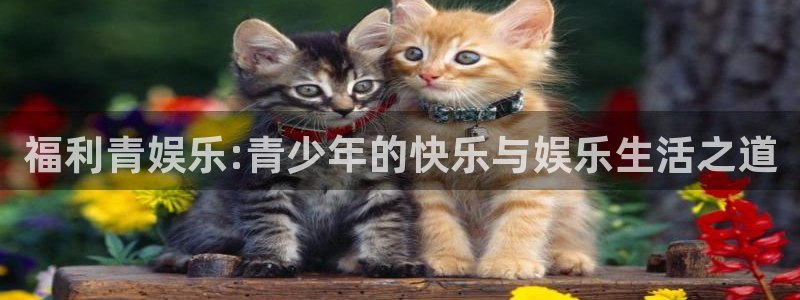三牛娱乐