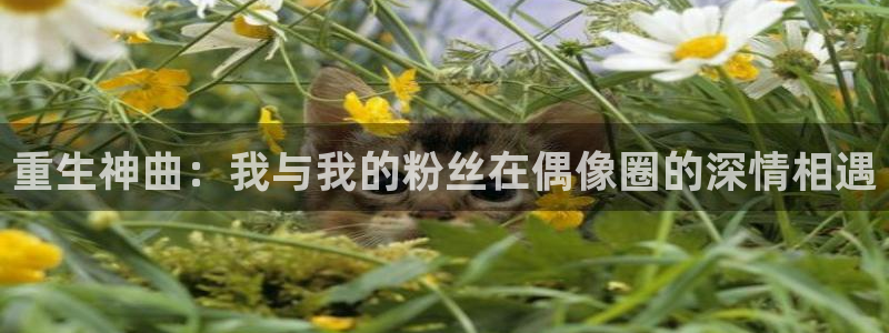 三牛娱乐